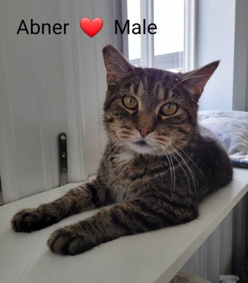 Abner