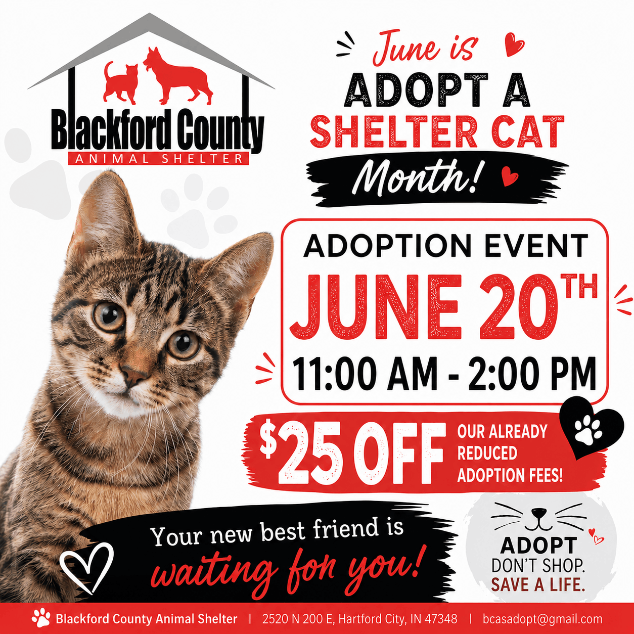 June Adopt a Shelter Cat Event