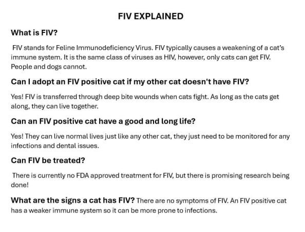 FIV Explained