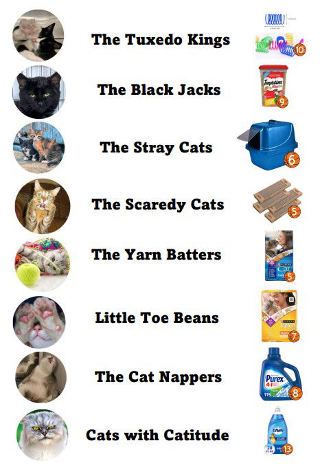 Meet the Teams Cats