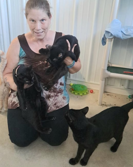 Onyx with her new adopted fur friens!