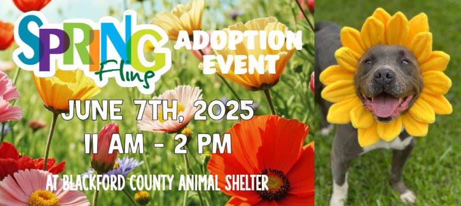 June Adoption Event